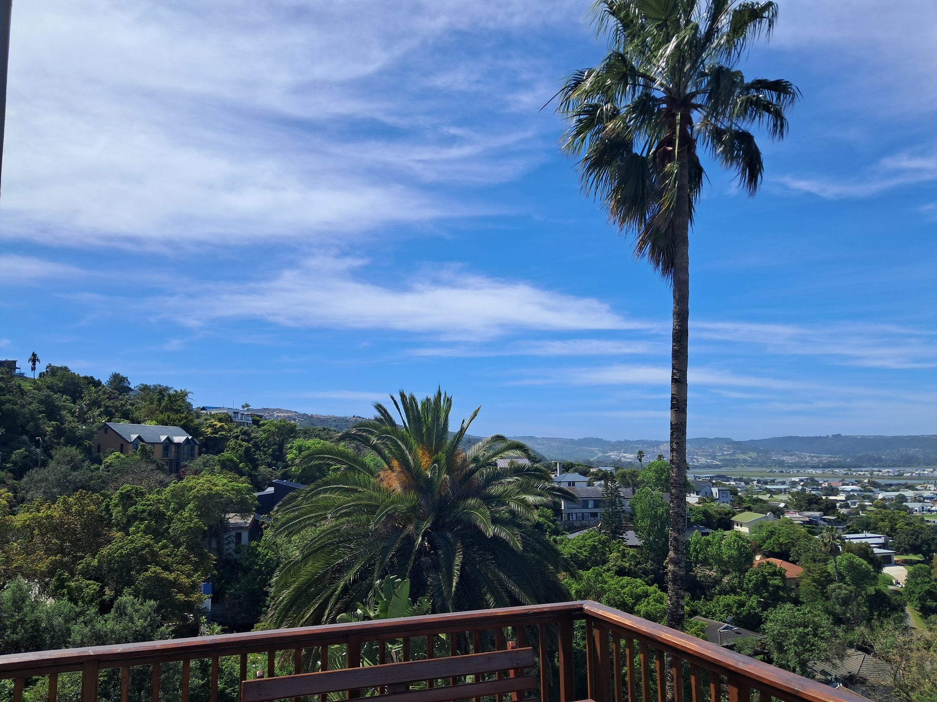 Tall palm trees against the sky at Knysna Paradise Guesthouse
