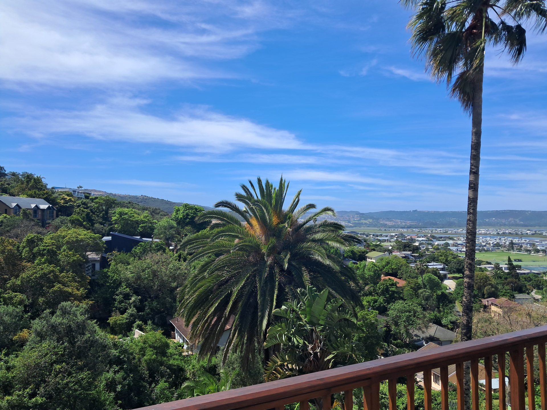 Palm trees and the town of Knysna seen from Knysna Paradise Guesthouse